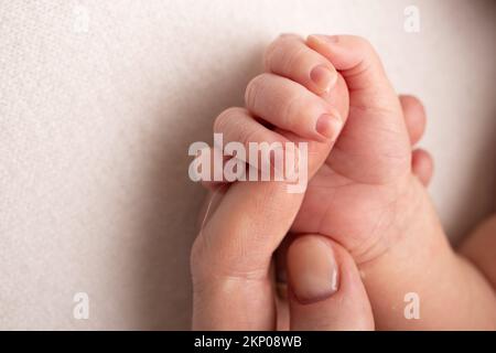 Das neugeborene Baby hat nach der Geburt einen festen Griff am Finger der Eltern. Stockfoto