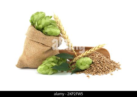 Hopfen aus einem hessischen Sack in der Nähe von Weizenkörnern und Holzschaufel, isoliert auf weißem Hintergrund Stockfoto