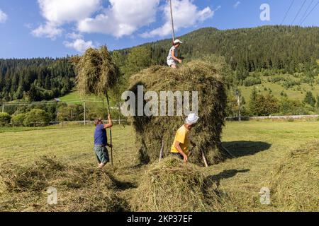 Traditionelle Heustapelherstellung im Dorf Ciocanesti, Bukovina, Rumänien Stockfoto