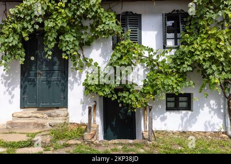 Traditionelles Gästehaus aus aus Visticochia mit Efeu in Siebenbürgen, Rumänien Stockfoto