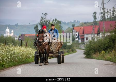 Bauern Pferdewagen im Dorf Leud, Siebenbürgen, Rumänien Stockfoto