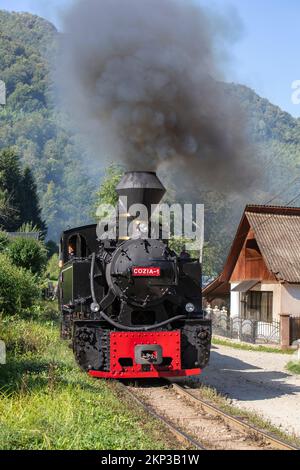 Mocanita Dampflokomotive von Viseu de Sus, Karpaten, Rumänien Stockfoto