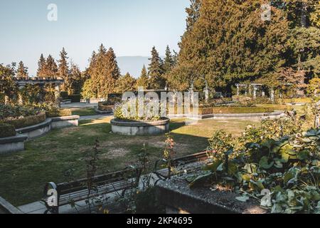 Blick auf den Rosengarten der University of British Columbia (UBC) am sonnigen Tag mit Bergen im Hintergrund, Vancouver, Kanada Stockfoto