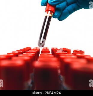 Ein Blutentnahmeröhrchen mit rotem Verschluss ist in der Hand eines blauhandschuhfarbenen Arztes, Objekt isoliert auf weißem Hintergrund, Hämatologie-Labor im Gesundheitswesen Stockfoto