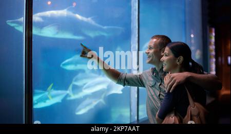 Wir tauchen in die Tiefe ein. Ein junges Paar, das sich die Fische in einem Aquarium ansieht. Stockfoto