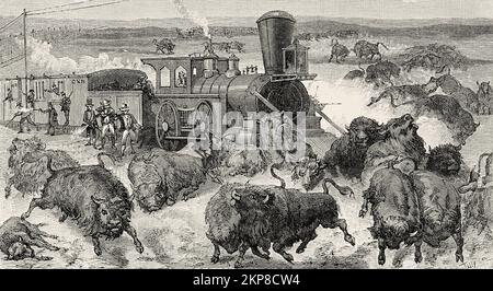 Buffalo Hunt auf der Kansas-Pacific Railroad in den USA, 1872, USA. Alte, gravierte Illustration aus dem 19.. Jahrhundert von La Nature 1890 Stockfoto