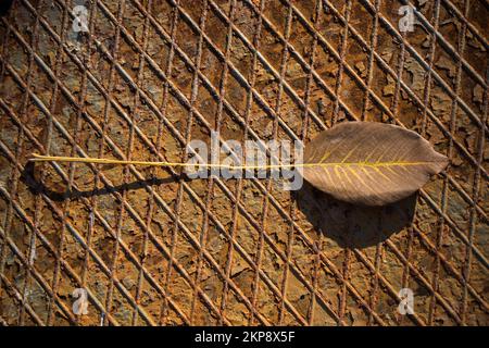 Ein separates trockenes Blatt der Herbstzeit Stockfoto