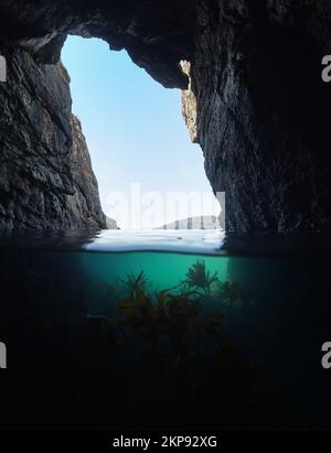 Höhle am Meer mit Seetang unter Wasser, Atlantik, Meereslandschaft über und unter der Wasseroberfläche, Spanien, Galicien, Rias Baixas Stockfoto