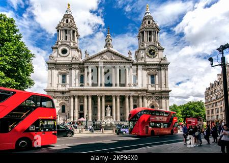 Doppeldeckerbusse vor St. Paul's Cathedral, London, City of London, England, Großbritannien, Großbritannien Stockfoto