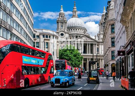 Doppeldeckerbusse vor St. Paul's Cathedral, London, City of London, England, Großbritannien, Großbritannien Stockfoto