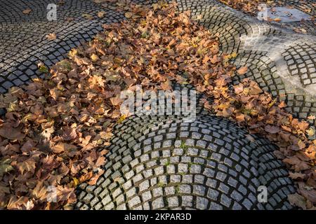 Die Herbstblätter liegen im Paolozzi-Brunnen in der historischen Stadt Köln. Herbstlaub liegt im Paolozzibrunnen in der Kölner Altstadt, Köln, Deu Stockfoto