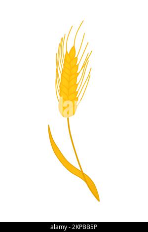 Weizen. Stachel reifer Weizen. Vektor-Weizensymbol. Gerstenkorn, Hafer, Roggen Stock Vektor