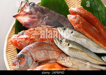 Frischer Fisch Stockfoto