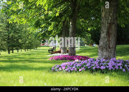 park, Rasen, Bäume und bunte Blumen darunter Stockfoto