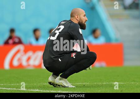 Doha, Katar. 28.. November 2022. Vanja Milinkovic-Savic von Serbien, während des Spiels zwischen Kamerun und Serbien, für die 2.. Runde der Gruppe G der FIFA-Weltmeisterschaft Katar 2022, Al Janoub Stadion diesen Montag, 28. 30761 (Heuler Andrey/SPP) Kredit: SPP Sport Press Photo. Alamy Live News Stockfoto