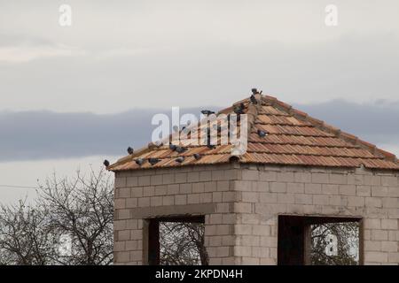 Turm eines verlassenen Gebäudes mit Tauben auf dem Dach an einem bewölkten Tag. Kopierraum. Selektiver Fokus. Stockfoto