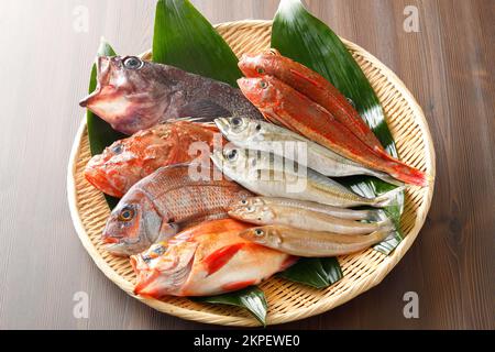 Frischer Fisch Stockfoto