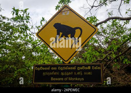 Mönche waren überall. Im Zentrum Sri Lankas. Stockfoto