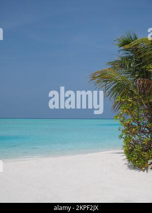 Blick von einem weißen Sandstrand auf den Malediven mit Blick auf den glitzernden türkisfarbenen Indischen Ozean mit einer Palme auf der rechten Seite des Bildes Stockfoto