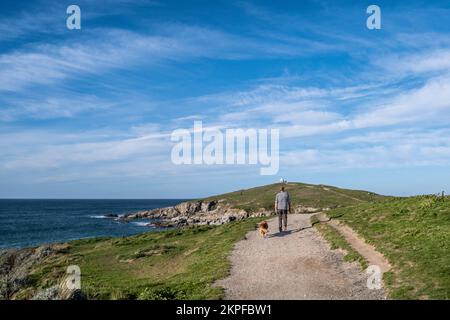 Ein Mann, der mit seinem Hund auf einem Küstenwanderweg in Richtung Towan Head in Newquay in Cornwall in England im Vereinigten Königreich läuft. Stockfoto