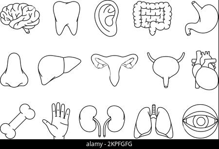 Menschliche Organe Umriss Set. Gehirn, Zahn, Ohr, Darm, Magen, Nase, Leber, Fortpflanzungssystem, Blase, Herz, Knochen, Nieren, Lungen, Augapfel-Symbol Stock Vektor