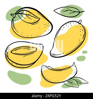 GELBE MANGO köstliche tropische Früchte ganz und Scheiben mit Blättern für Design of Organic Natural Products Shop und Dessertgetränke in Sketch Vector Il Stock Vektor