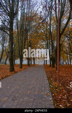 Kopfsteinpflasterstraße im Herbstpark mit gefallenem gelblichen Laub bei nebigem Wetter Stockfoto