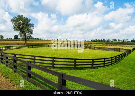 Pferdefarm in Lexington, KY Stockfoto