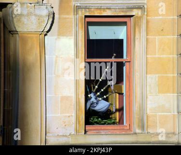 Rohre im Fenster des Pipers' Tryst Restaurants - The National Piping Centre McPhater Street Stockfoto