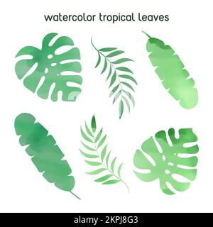 AQUARELL TROPISCHES BLATT Grüne Blätter abstrakter Pflanzen aus den südlichen Ländern Cartoon Clip Art mit Textvektor Illustration Set zum Drucken Stock Vektor