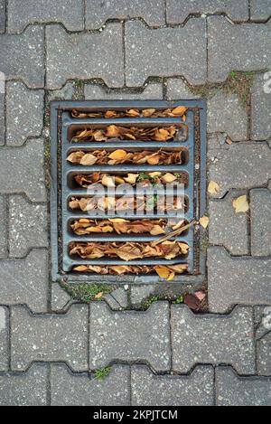 Der Regengitter auf der Straße im Herbst ist voller Blätter. Stockfoto