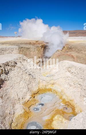 Kochendes Schlammbecken und eine Dampfsäule aus einem Geysir in der geothermischen Gegend Sol de Mañana (Morgensonne) im Eduardo Avaroa National Reserve, Bolivien Stockfoto