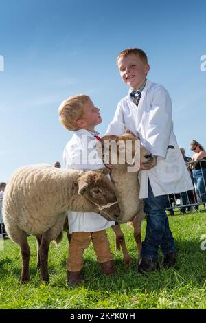 Junge Brüder, die auf der Westmorland Show in der Nähe von Kendal in Cumbria im Septemeber Schafe zeigen. Stockfoto