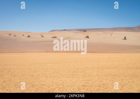 Panoramablick auf die Desierto de Dalí (Dali-Wüste) im Andenschutzgebiet Eduardo Avaroa, Provinz Sur Lípez, Bolivien Stockfoto