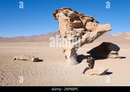 Weibliche Touristen, die das berühmte Árbol de Piedra oder den Felsenbaum in Altiplano oder High Plains, Provinz Sud Lipez, Potosi-Departement, Bolivien fotografieren Stockfoto