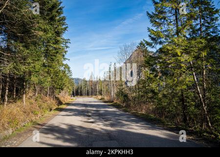 Straße nach Morskie Oko oder Sea Eye Lake, beliebter Wanderweg im Tatra-Nationalpark in der Nähe von Zakopane, Polen. Keine Menschen. Stockfoto