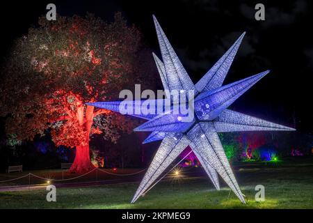 RHS Rosemoor Glow Illuminations. Die herrlichen Bäume, Sträucher, Wasserfiguren und Skulpturen von Rosemoor, die von einem spektakulären, sich verändernden Licht erleuchtet werden Stockfoto