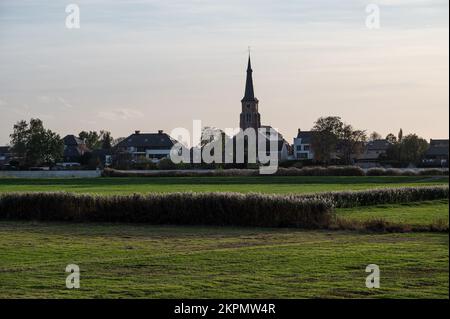 Berlare, Ostflämische Region, Belgien, 11 02 2022 - Blick über die grünen Wiesen und das Dorf im Hintergrund während des Sonnenuntergangs Stockfoto