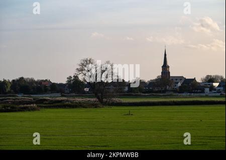 Berlare, Ostflämische Region, Belgien, 11 02 2022 - Blick über die grünen Wiesen und das Dorf im Hintergrund während des Sonnenuntergangs Stockfoto