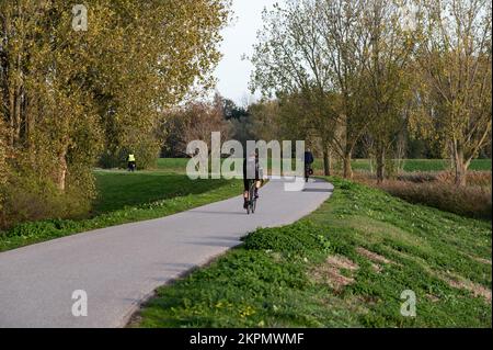 Berlare, Ostflämische Region, Belgien, 11 02 2022 - Radfahrer am Deich der Schelde Stockfoto