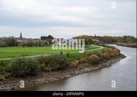 Berlare, Ostflämische Region, Belgien - Blick auf die Schelde, Vegetation und das Dorf im Hintergrund Stockfoto