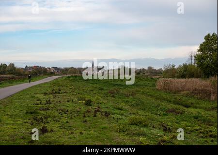 Berlare, Ostflämische Region, Belgien, 11 02 2022 - Radfahrer am Deich der Schelde Stockfoto