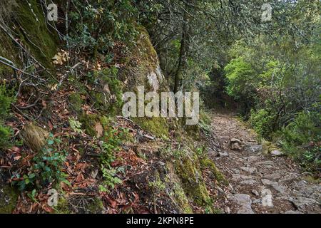 Die Spelunca-Schlucht ist ein beliebtes Ziel für Wanderungen auf einem alten römischen Fußweg auf der Insel Korsika in Frankreich Stockfoto