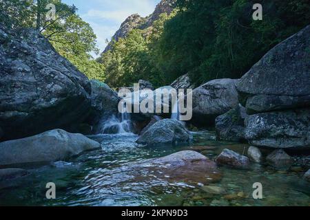 Die Spelunca-Schlucht ist ein beliebtes Ziel für Wanderungen auf einem alten römischen Fußweg auf der Insel Korsika in Frankreich Stockfoto