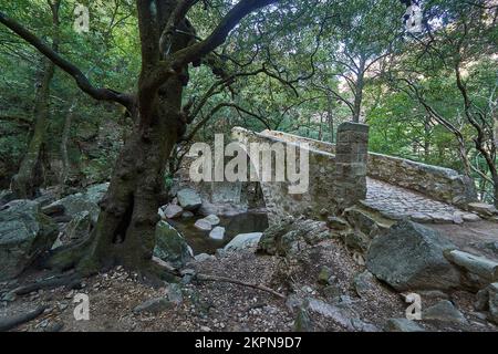 Alte römische Brücke in der Schlucht von Spelunca, ein beliebtes Ziel für Wanderungen entlang eines alten römischen Fußwegs auf der Insel Korsika in Frankreich Stockfoto