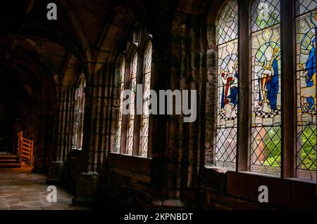 Das Kloster in der Kathedrale von Chester in Chester, England. Stockfoto