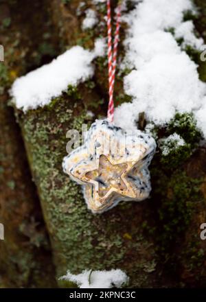 Hausgemachter, sternförmiger Vogelkuchen im verschneiten Garten. Die Fütterung der Vögel im Winter. Speicherplatz kopieren. Stockfoto