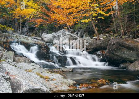 Kleine Wasserfälle direkt stromabwärts von Crystal Cascades auf dem Ellis River. Tuckerman Ravine Trail. Jackson. New Hampshire. USA Stockfoto