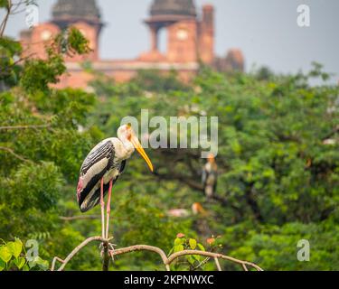 Ein gemalter Storch, der auf einem Baum ruht Stockfoto