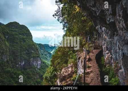 Beschreibung: Sportliche Frau mit Rucksackwanderungen auf einem abenteuerlichen Dschungelweg entlang des Kanals. Levada Caldeirão Verde, Insel Madeira, Portugal, EUR Stockfoto